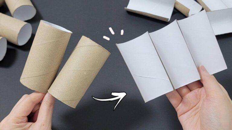 Questo semplice gesto trasforma i rotoli di carta igienica in eleganti cesti…