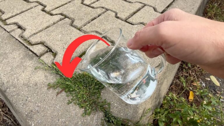 Questo semplice gesto farà scomparire le erbacce per sempre…