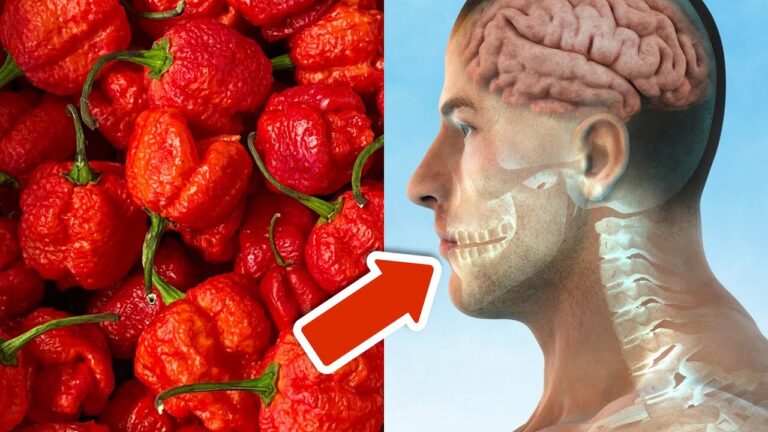 Scopri 5 effetti incredibili del mangiare un Carolina Reaper!