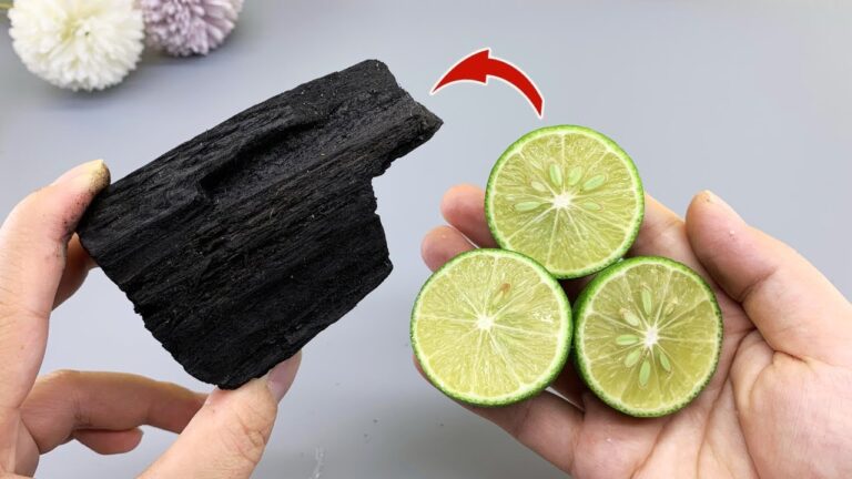 Scopri 5 modi per risparmiare con limone e carbone! Non crederai ai risultati!