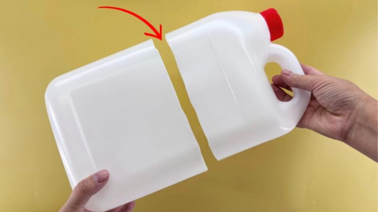 10 idee creative per riciclare le bottiglie di plastica e sorprendere tutti!