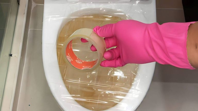 Toilette intasate? Ecco l’astuzia dei idraulici a costo zero!