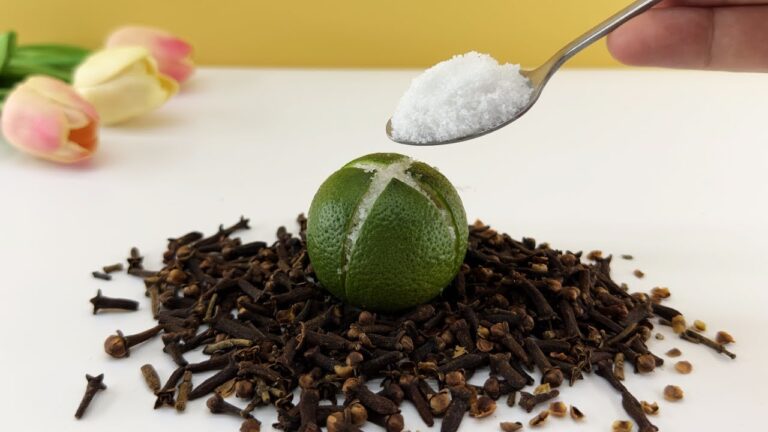 5 ricette miracolose per una casa profumata e senza insetti!