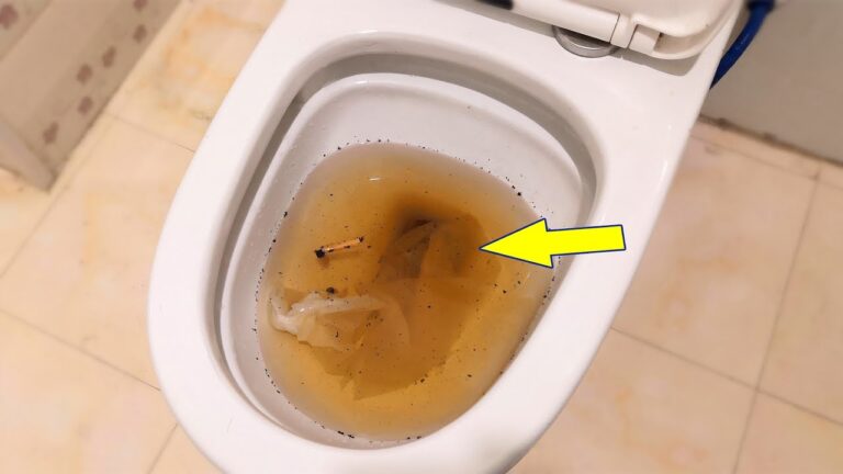 3 minuti per sgranchire il tuo water: il trucco che non costa nulla!