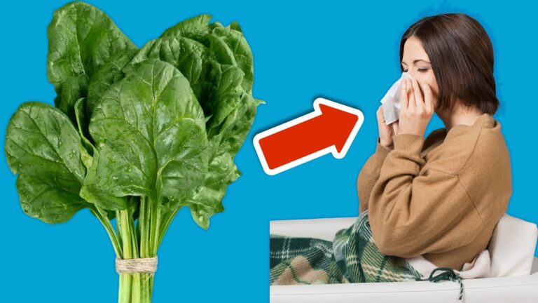 Rinforza il tuo sistema immunitario: 6 cibi da mangiare per sentirti bene!