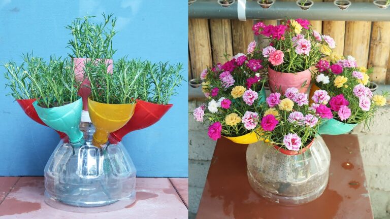 5 Idee per Riciclare Bottiglie di Plastica e Far Crescere Portulaca Belle!