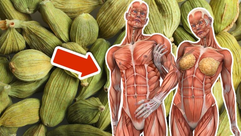 Scopri 5 incredibili benefici del kardamomo mangiato ogni giorno!