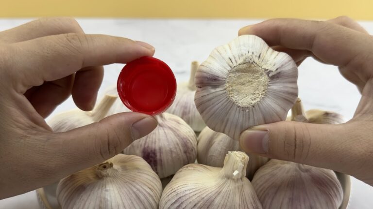 Scopri 5 trucchi segreti per sbucciare 20 spicchi d’aglio in 20 secondi!