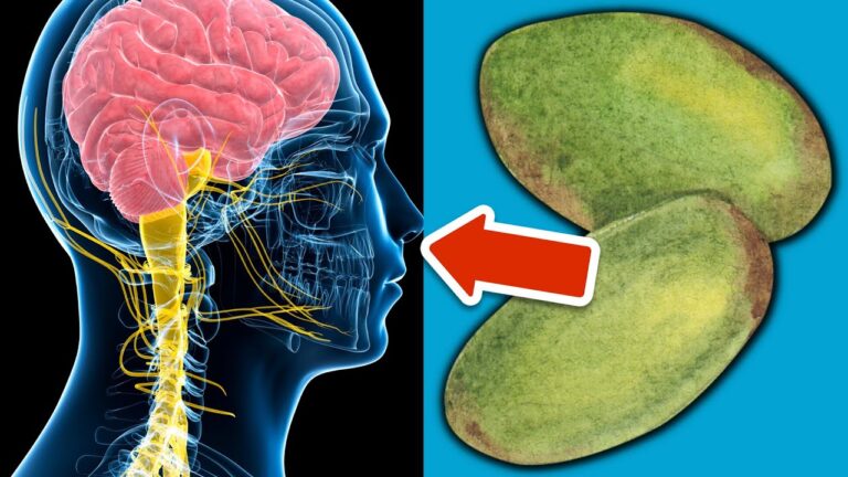 7 cibi sorprendenti per riparare i danni ai nervi e migliorare la tua salute!